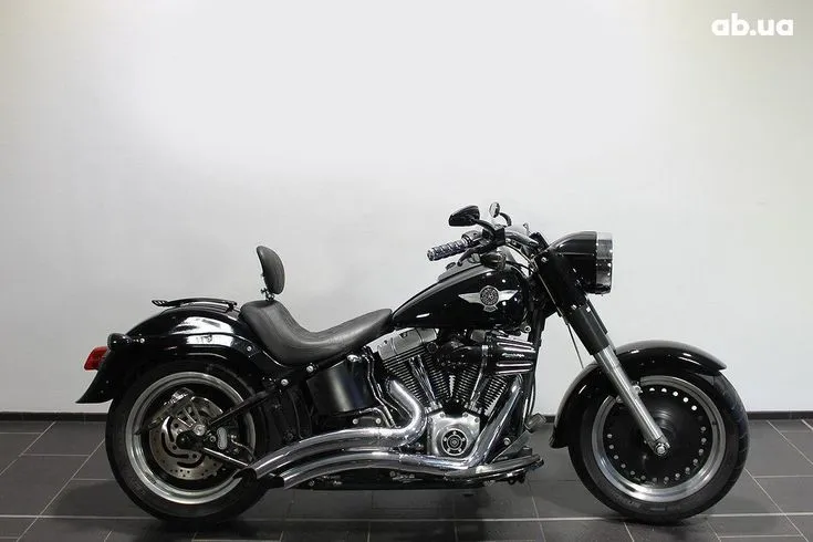 Harley-Davidson FLSTF  Image 1