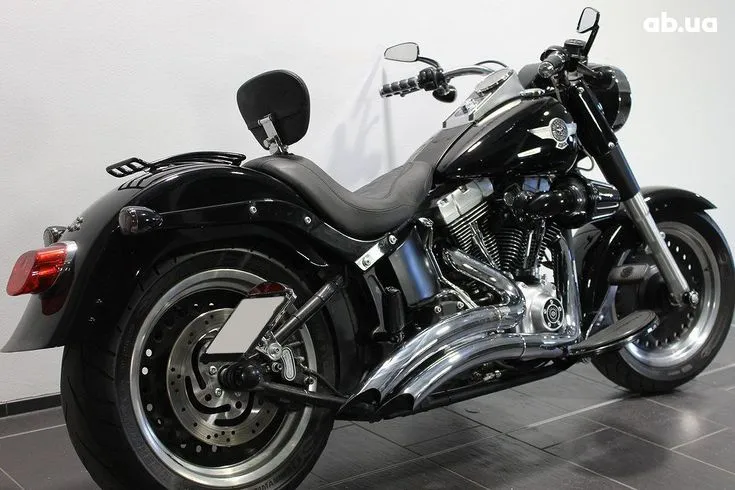 Harley-Davidson FLSTF  Image 6