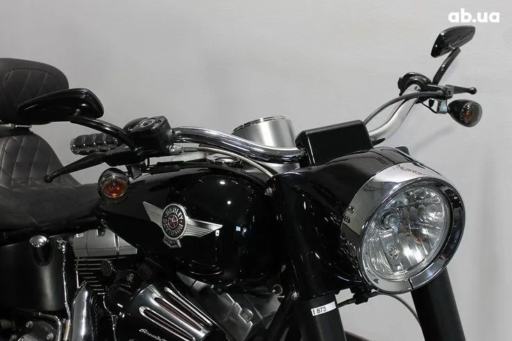 Harley-Davidson FLSTF  Image 6