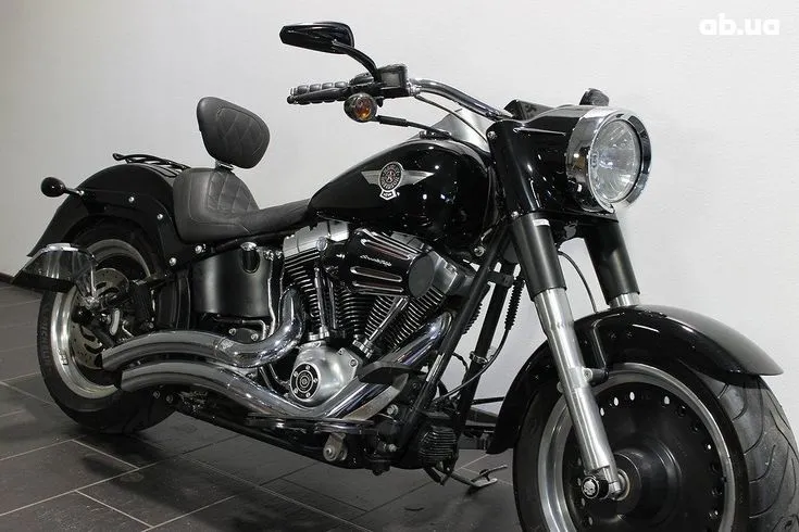 Harley-Davidson FLSTF  Image 9